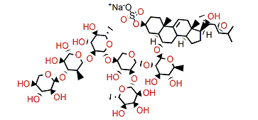 Hippasterioside D